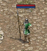 1734024183556.jpg