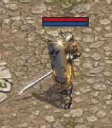 1734024382812.jpg